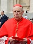 Kardinal Antonetti