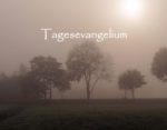 tagesevangelium-223